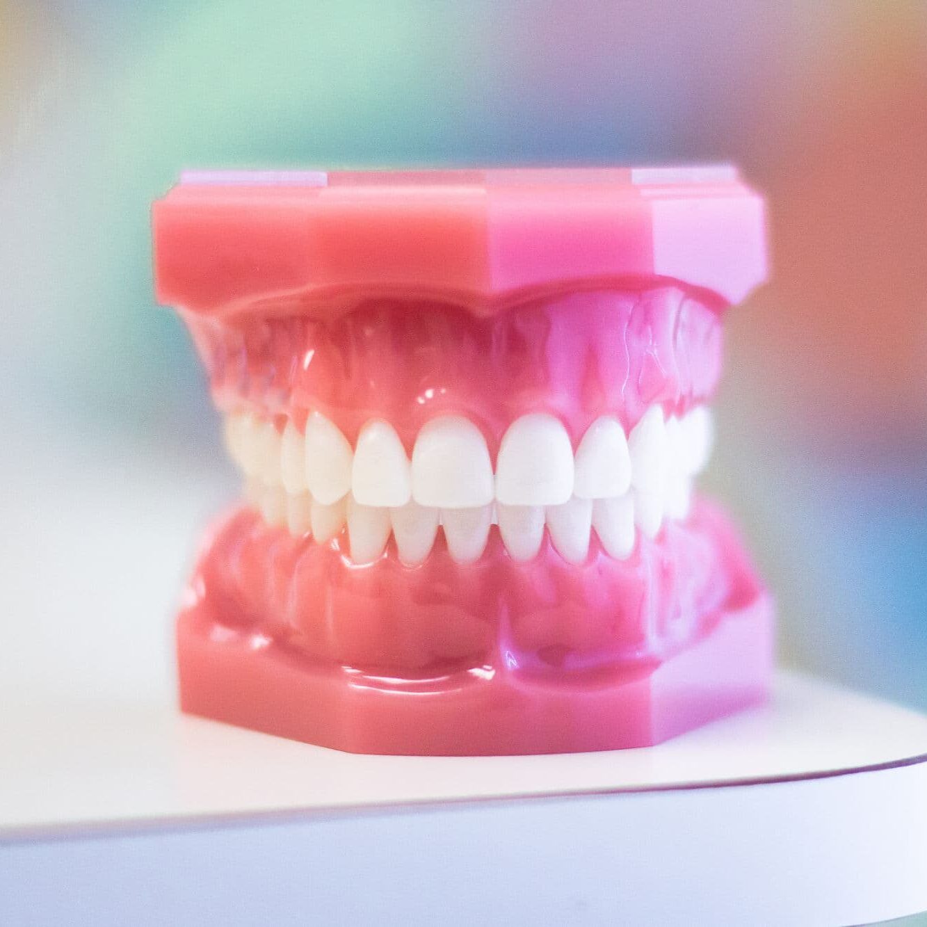 Model of a pink dental arch with white teeth, representing orthodontic treatments like Invisalign and clear aligners, relevant to Foley Orthodontics in Cary, NC.
